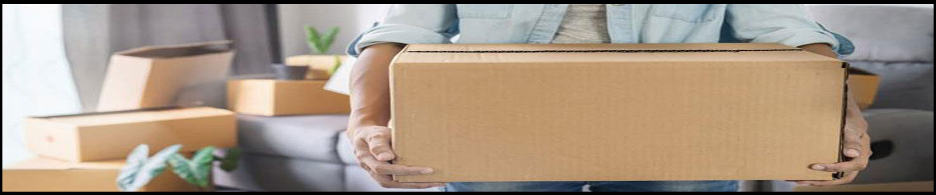 Packers And Movers Noida Sector 153